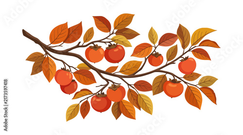 Illustration of Ripe Orange Persimmons on a Branch