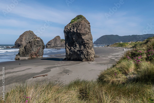 Oregon Coast