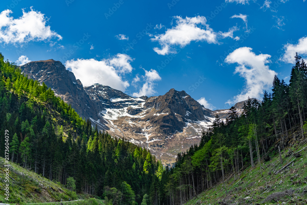 Naklejka premium Landscape summer nature. Scenic landscape of woodland. Green forest wood landscape in summer. Forest nature. Nature in mountain countryside. Scenery mountain landscape. Scenery autumn countryside