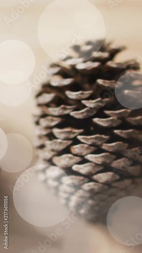 Animation of spots of light over christmas pine cones decorations