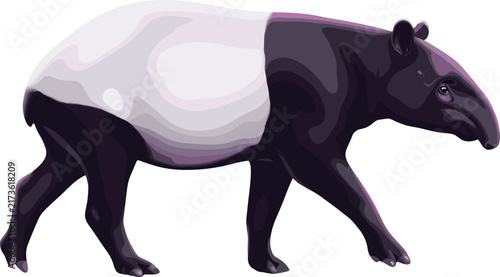 Malayan Tapir Side View Standing Isolated on White Background