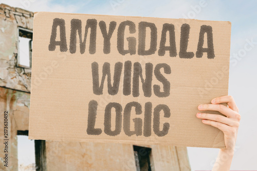 Fotografie "Amygdala wins logic" Fear overrides rational thought in conflict