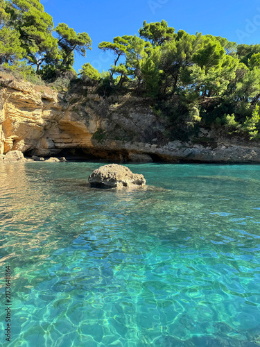 Crystal clear turquoise sea water in a hidden rocky bay with pine trees vertical