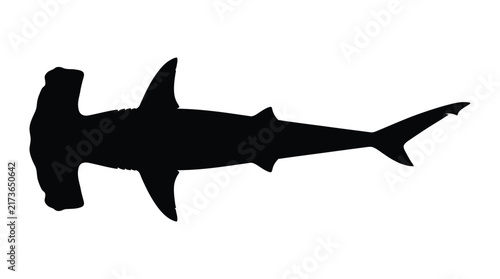Hammerhead shark silhouette against a white background a striking marine creature silhouette