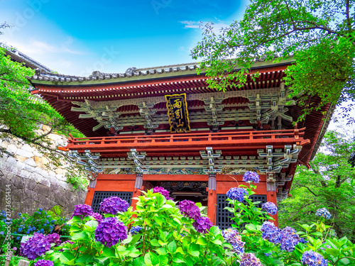 Obraz na płótnie 雨引山 楽法寺・雨引観音（茨城県桜川市）