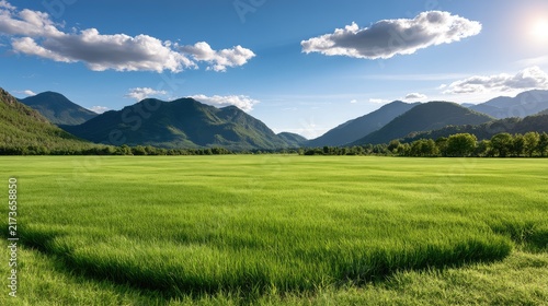 Lush Green Field Surrounded by Mountains under Bright Blue Sky