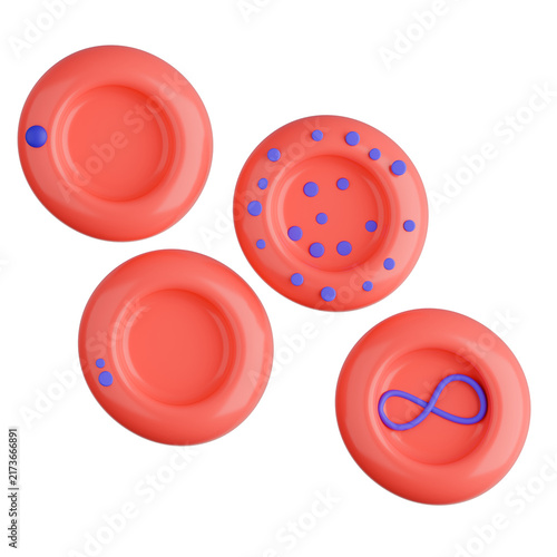 3D rendering of red blood cells showing various inclusion bodies including Howell Jolly body, basophilic stippling, pappenheimer bodies and Cabot ring.