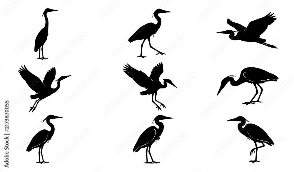 Naklejka premium Heron Bird Vector Silhouette Set Egret Landing Preening Standing Poses Black Illustration Collection