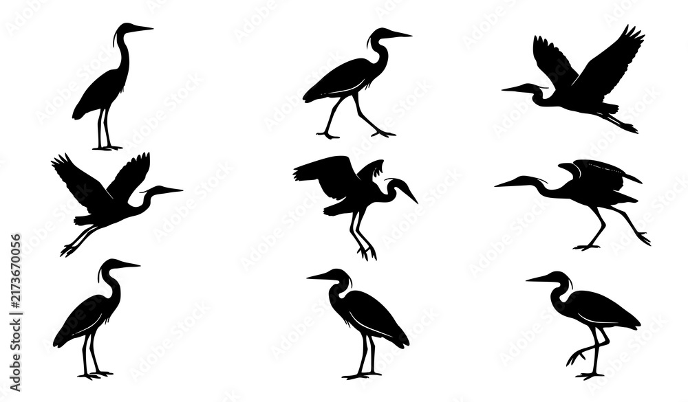 Naklejka premium Heron Bird Vector Silhouette Set Egret Standing Flying Walking Poses Black Illustration Collection