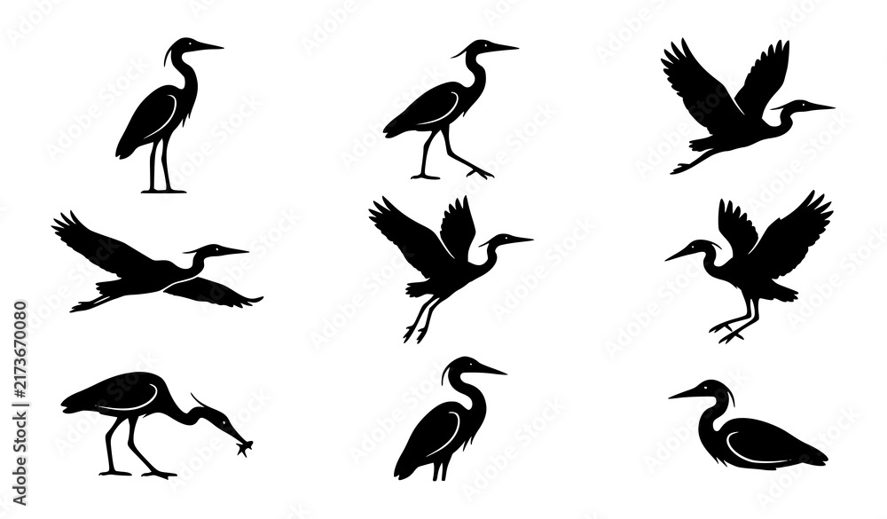 Naklejka premium Heron Bird Vector Silhouette Set Egret Fishing Flying Standing Poses Black Illustration Collection