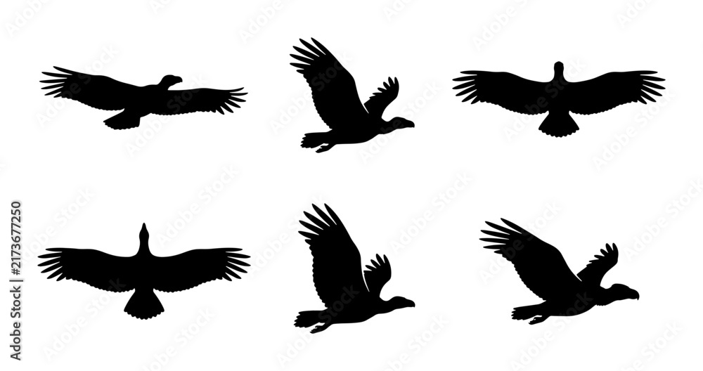 Fototapeta premium Bird Silhouettes, Flying Eagle Icons, Avian Vector Graphics, Wildlife Winged Creatures
