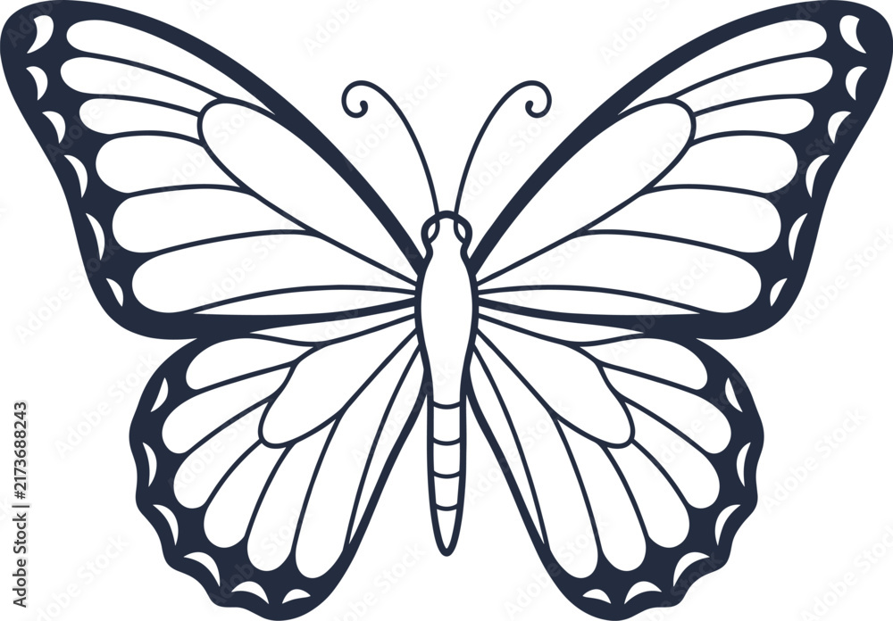 Obraz premium Intricate symmetrical butterfly illustration with decorative wing patterns, curved lines, and delicate artistic design for creative projects