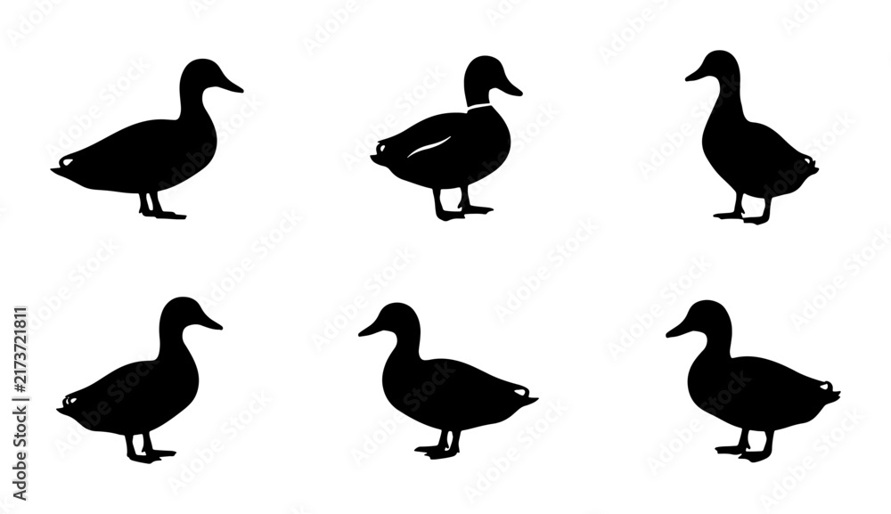 Obraz premium Six Black Duck Silhouettes, Simple Vector Icons, Wildlife Animal Graphics, Nature Elements