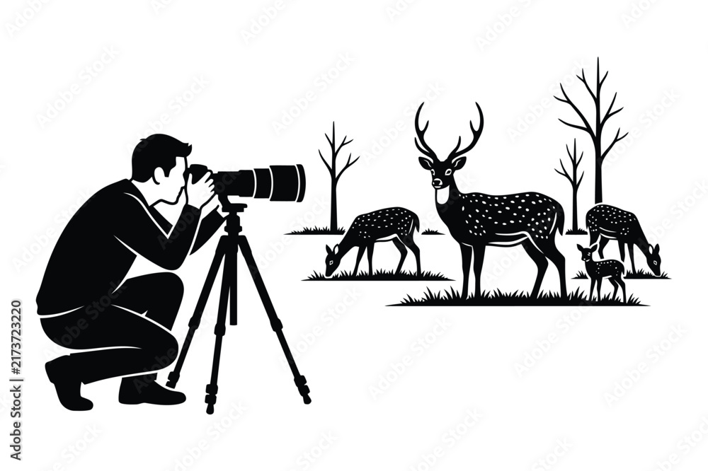 Fototapeta premium Wildlife photographer taking pictures of deer herd in forest landscape
