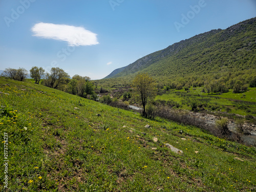 Foto Sloping green hillside descends toward a winding river, framed by dense trees on the mountainside and a striking cloud in blue sky