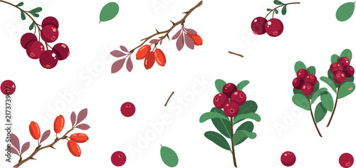 Принти на полотні Red forest berry vector element set featuring cranberries cowberries and barberr