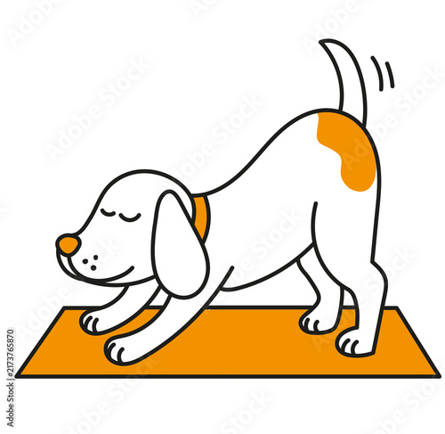 Perro haciendo yoca inclinado sobre una alfombra de yoga. Fondo transparente. 