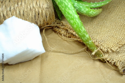 Green Aloe Vera Plant Leaves with Cotton Pad, Jute Twine and Burlap Cloth on Crumpled Craft Paper