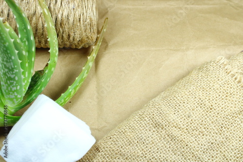 Green Aloe Vera Plant Leaves with Cotton Pad, Jute Twine and Burlap Cloth on Crumpled Craft Paper