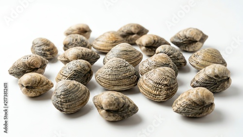 Fresh raw whole clams on a white background