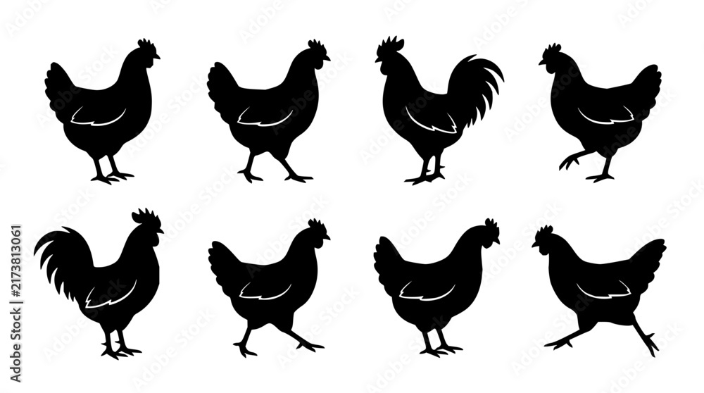 Obraz premium Chicken set with rooster silhouettes featuring hen, fowl, poultry, standing and walking with black and white design and isolated background
