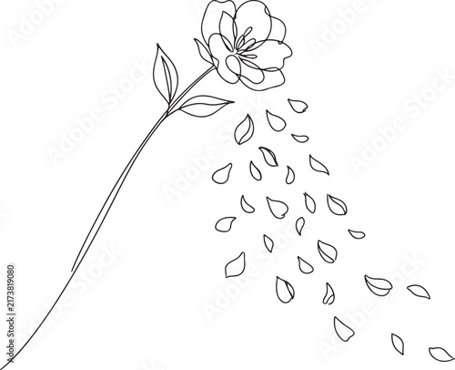 Minimalist Flower with Falling Petals Continuous Line Art Drawing on White Background