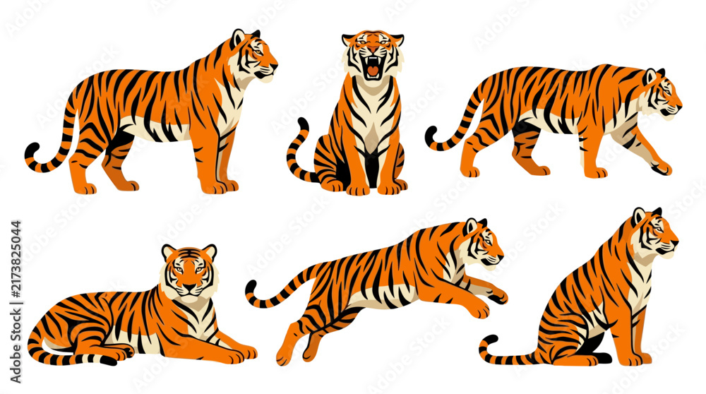 Fototapeta premium Tiger Set Vector Illustration in Flat Cartoon Style