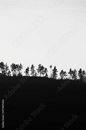 Black and white photo horizon with trees and negative space