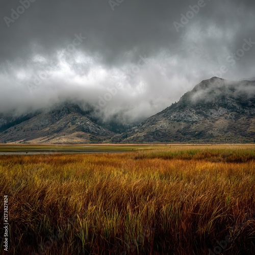 Dramatic Landscape - Mountains, Field, and Overcast Sky in Harmony.