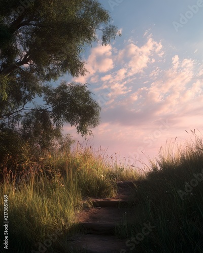 Serene Path Through Tall Grass Under a Pink Sky.