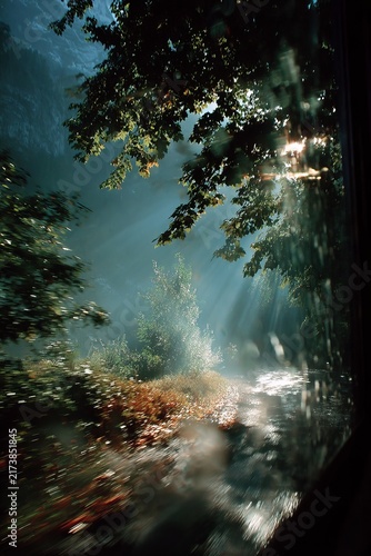 Sunlight filtering through the trees in a lush forest, creating a magical atmosphere.