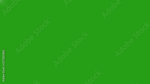 Paparazzi camera flashes green screen 4k. Lots of camera photo flashes effect on chromakey. stadium concert multiple camera flashes video Animation