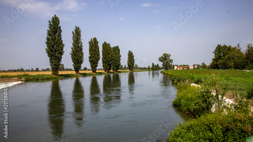 Row of Poplar Trees Along River with Weir