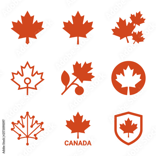 Minimalist Maple Leaf Flat Icon Set Featuring Various Stylized Autumn Foliage Designs