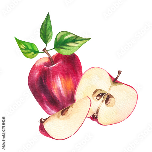 Apples with leaves and branches isolated on white. Hand-painted watercolor fruit and botanical elements for food packaging, textile, fabric, menu, branding and design.