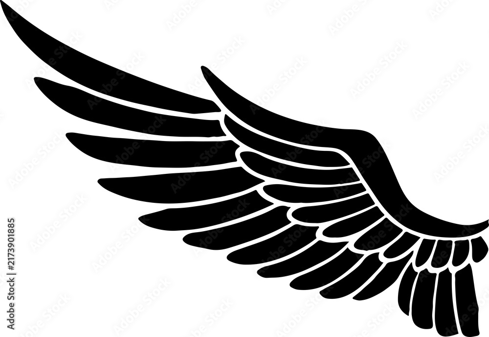 Obraz premium Black Detailed Bird Wing Shape PNG Isolated on Transparent Background