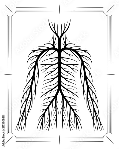 Conceptual line art of a human silhouette formed by branching root systems and organic veins