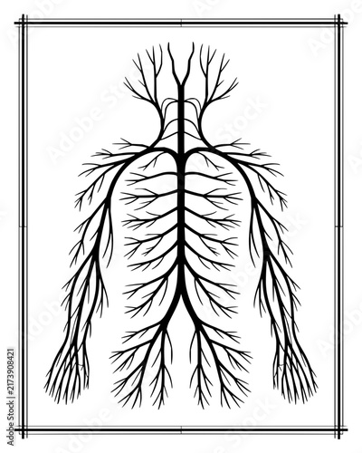 Abstract human silhouette composed of branching tree roots and neural networks in black and white vector style