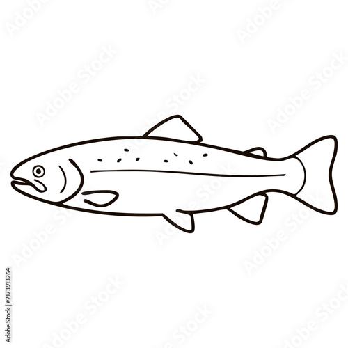 Spotted Trout Line Art - Freshwater River Salmon Vector Illustration for Angling Tackle Logos, Fishing Club Badges, and Seafood Restaurant Menus