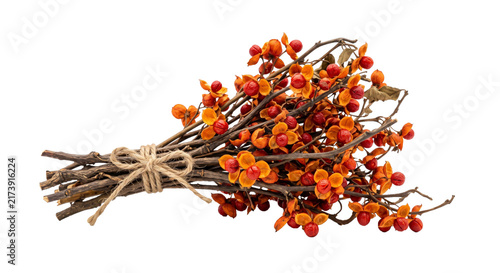 Foto Autumnal bouquet of bittersweet berries tied with twine on a white background