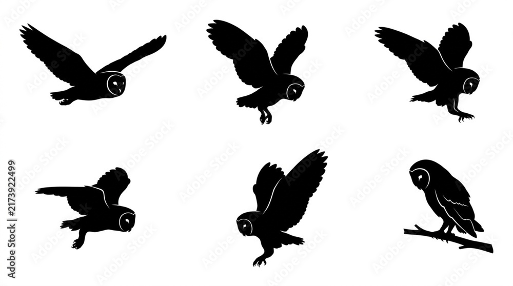 Fototapeta premium Silhouette Collection of Owl in Flight and Perched Poses.