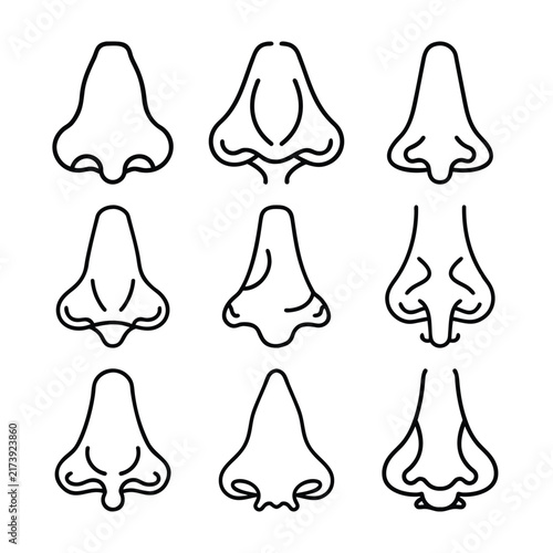 Human Nose Anatomy Outline Icons