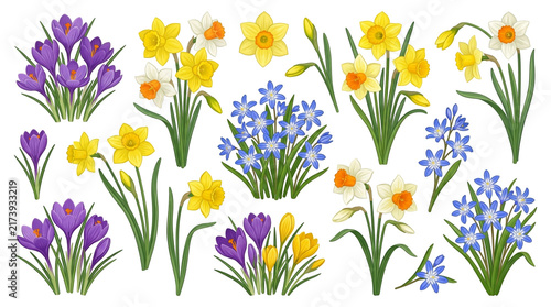 Colorful Spring Flowers Border with Yellow Orange Daffodils and Daisies Isolated on White Background Floral Garden Blossom Nature Vector Illustration