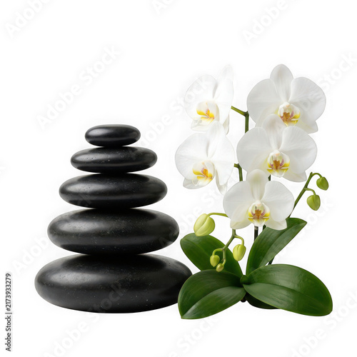White orchid flowers and a stack of black spa stones isolated on transparent background