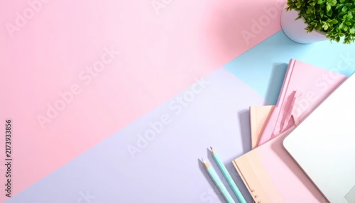 Pastel Stationery and Potted Plant Arranged on Colorful Minimal Desk