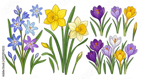 Colorful Spring Flowers with Yellow and Purple Tulips Isolated on White Background, Floral Blossom Collection for Garden, Easter, Nature and Seasonal Spring Decoration