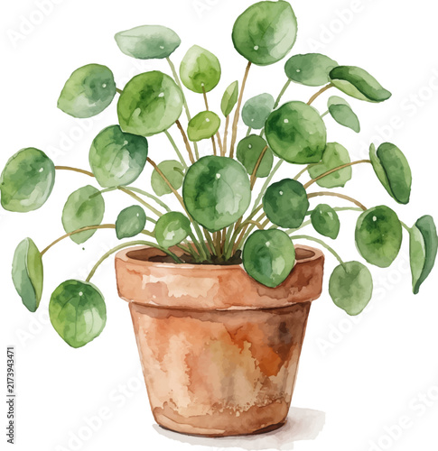 Green watercolor pilea peperomioides plant leaves in a terracotta clay pot. Suitable for garden, botanical, succulent, and plantthemed designs.