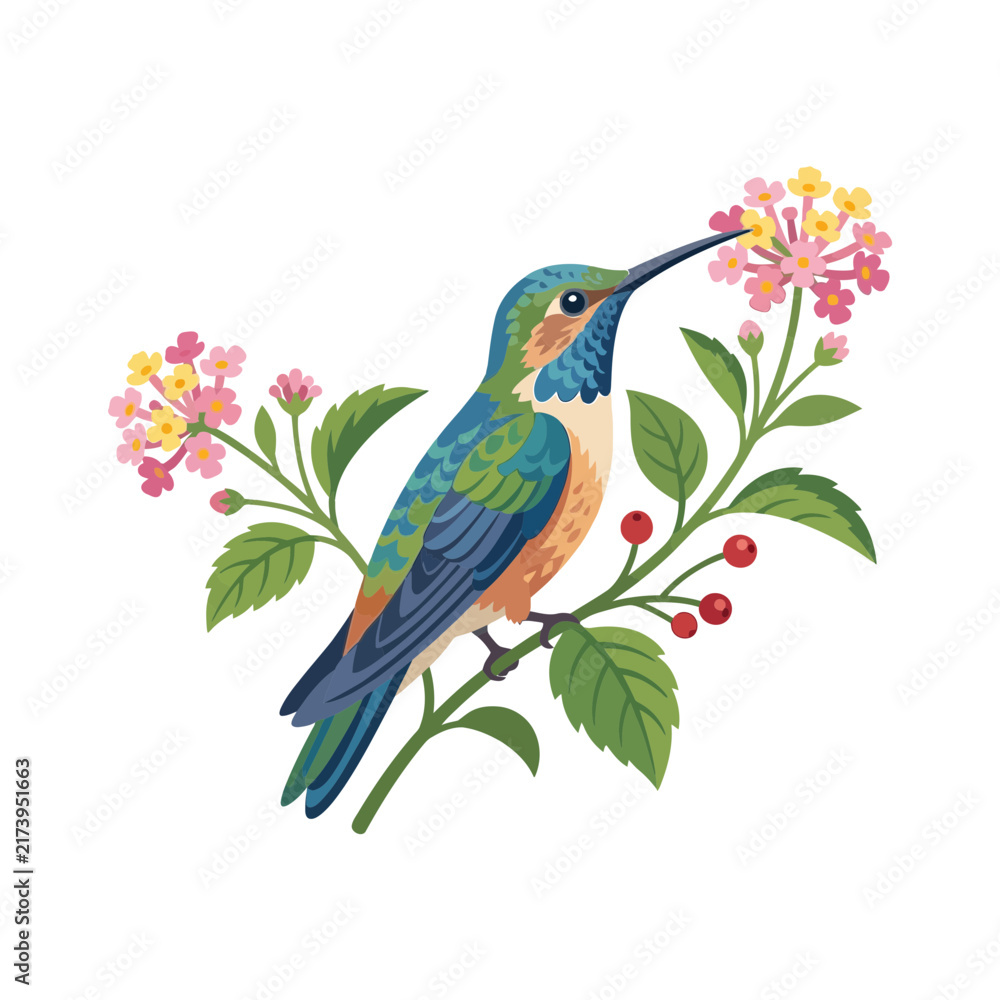 Obraz premium Hummingbird on flowering branch, isolated illustration