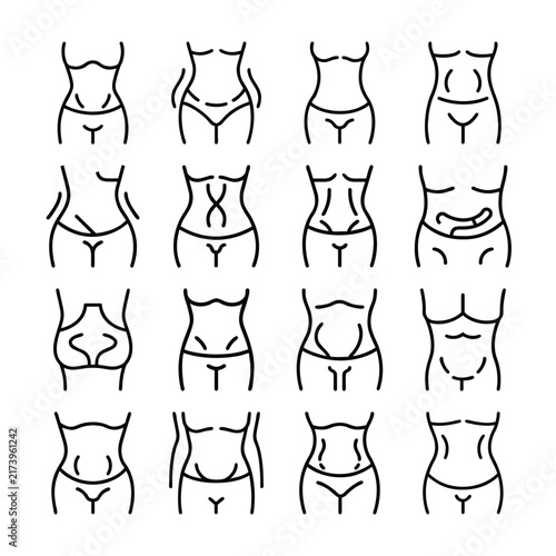 Female Waist Anatomy Outline Collection