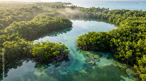 Emerald Sanctuary: Aerial View of Hidden Mangrove Lagoon at Sunrise in Cancun